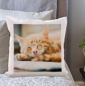 Click here to view Cushions