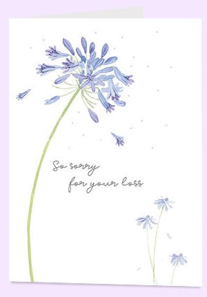 Shop all Sympathy Cards