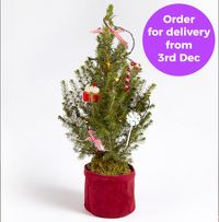 Tap to view The Candy Cane Letterbox Christmas Tree