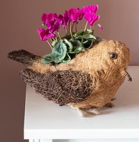 Tap to view Sisal Bird With Cyclamen