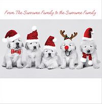 Tap to view Puppies In Hats Square Christmas Card