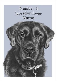 Tap to view Number 1 Labrador Lover Birthday Card