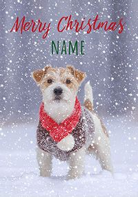 Tap to view Dog in the Snow Personalised Christmas Card