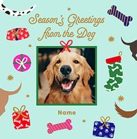 Tap to view Season's Greetings from the Dog Square Photo Card