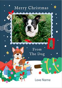 Tap to view From The Dog Christmas Stamp Photo Card