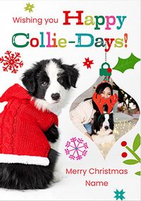 Tap to view Rachael Hale Happy Collie-Days Christmas Photo Card