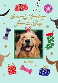 Tap to view Season's Greetings from the Dog Photo Card