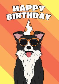 Tap to view Boarder Collie Birthday Card