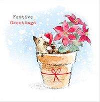 Tap to view Hedgehog Festive Greetings Christmas Card