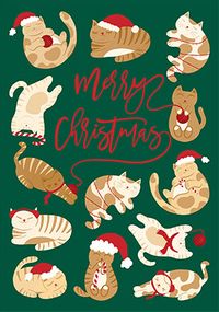Tap to view Cats and Wool Cute Christmas Card