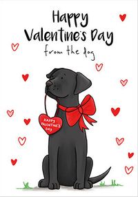 Tap to view Valentine's Day From the Dog Card