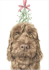 Tap to view Chocolate Cockapoo Christmas Card