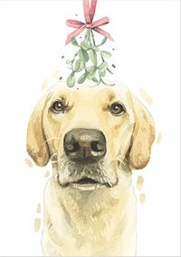 Tap to view Golden Labrador Christmas Card