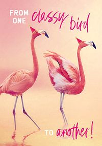 Tap to view Classy Bird Flamingo Birthday Card