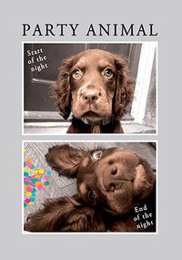 Tap to view Party Animal Dog Birthday Card