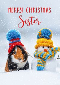 Tap to view Guinea Pig Christmas Card for Sister