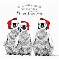 Tap to view Three Wise Penguins Square Christmas Card