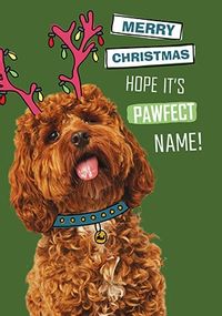 Tap to view Pawfect Christmas Personalised Card