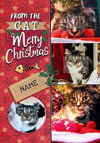 Tap to view 4 Photo from the Cat at Christmas personalised Card