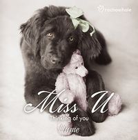 Tap to view Rachael Hale - Miss You