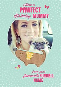 Tap to view Doodle Pops - Birthday Card From The Dog