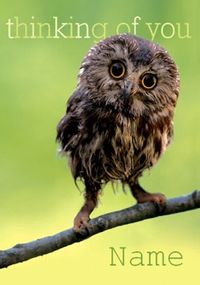 Tap to view Framed - Thinking Of You Owl