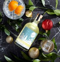 Tap to view Most Wonderful Time of Year Light Up Snow Globe Gin