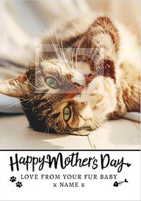 Tap to view From your Cat on Mother's Day photo upload Card