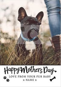Tap to view From your Dog on Mother's Day photo upload Card