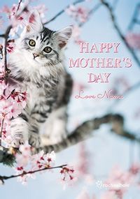 Tap to view Mother's Day Kitten In Blossoms Personalised Card
