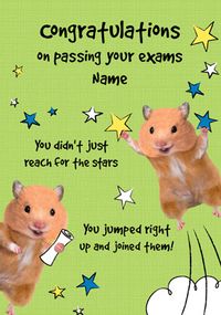 Tap to view Hanson White - Hamster Congratulations