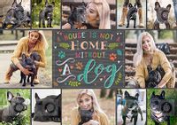 Tap to view Not A Home Without A Dog Photo Poster