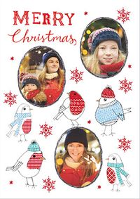 Tap to view Patterned Robins Photo Christmas Card