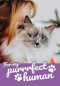 Tap to view Purrrfect Hooman photo Mother's Day Card