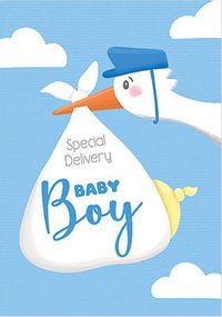 Tap to view Baby Boy Delivery Card