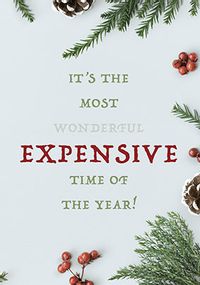 Tap to view Expensive Time Of Year Christmas Card
