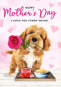 Tap to view I Love You Furry Much Mother's Day Card