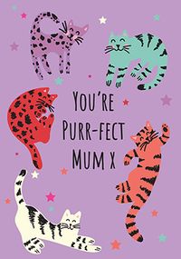 Tap to view Puur-fect Mum Mothers Day Card