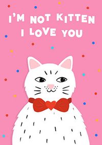 Tap to view I'm Not Kitten Anniversary Card