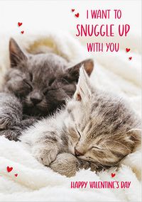 Tap to view Snuggle Up Cute Valentine's Day Card