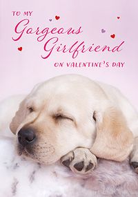 Tap to view Gorgeous Girlfriend Puppy Valentine's Day Card