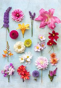 Tap to view Vibrant Flower Collage Card