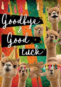 Tap to view Alpacas Goodbye Good Luck Card