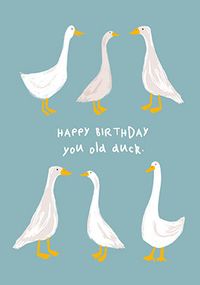 Tap to view You Old Duck Birthday Card