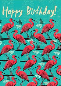 Tap to view Happy Birthday Flamingos Card
