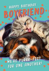 Tap to view Purrfect Boyfriend Birthday Card