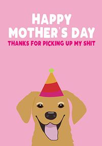 Tap to view Picking Up My Shit Mother's Day Card