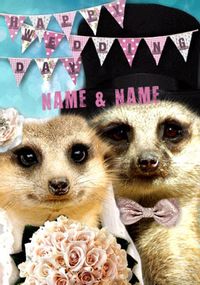 Tap to view Meerkat - Wedding