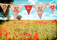 Tap to view Photographic - Wedding Bunting